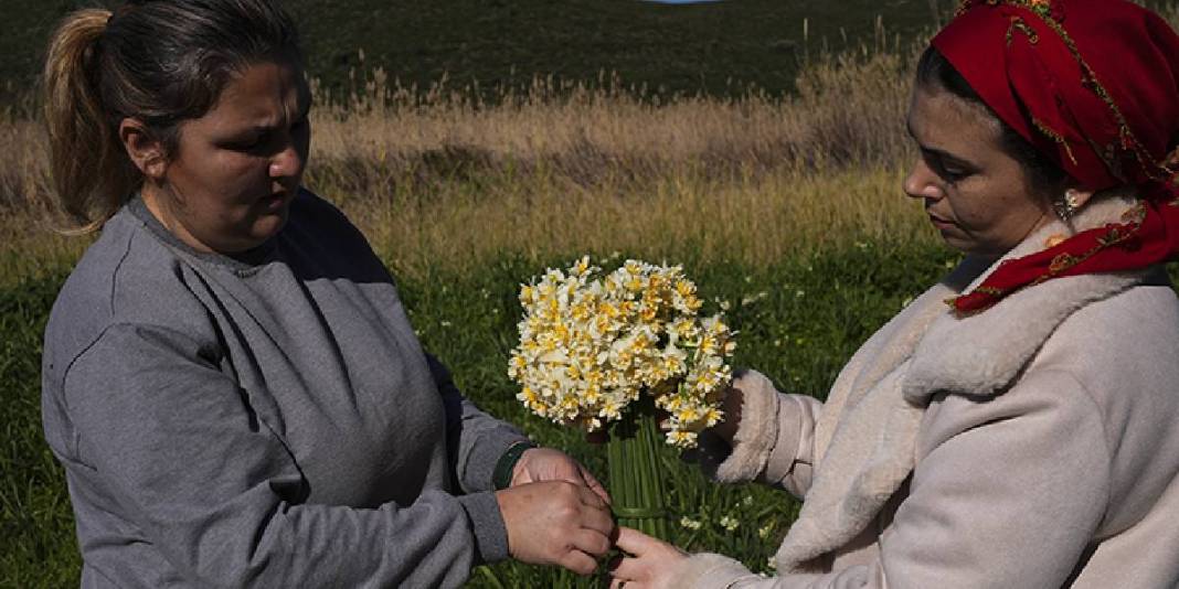 Kokusuyla fark atıyor, kadınlara gelir oluyor! Karaburun’da mis kokulu hasat: Sonbaharda başlıyor kış boyu sürüyor 5